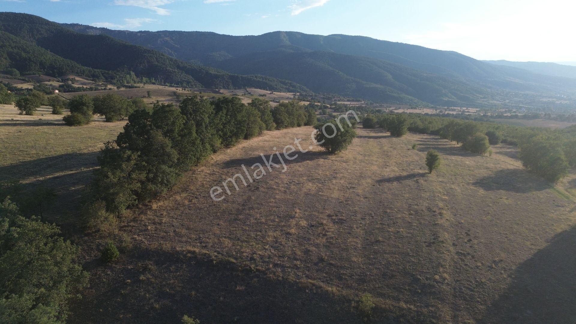 Hamamözü Damladere Mahallesinde 645 M² Müstakil Tapulu Tarla - Görsel 10