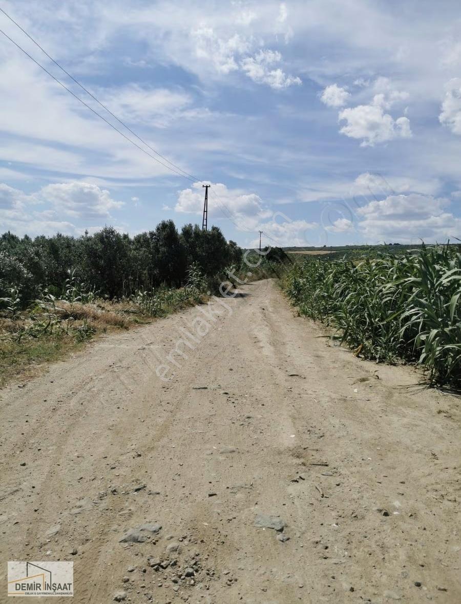 Demir Emlak Gayrimenkul Tekirdağ Şarköy Den Satılık Tarla - Görsel 9