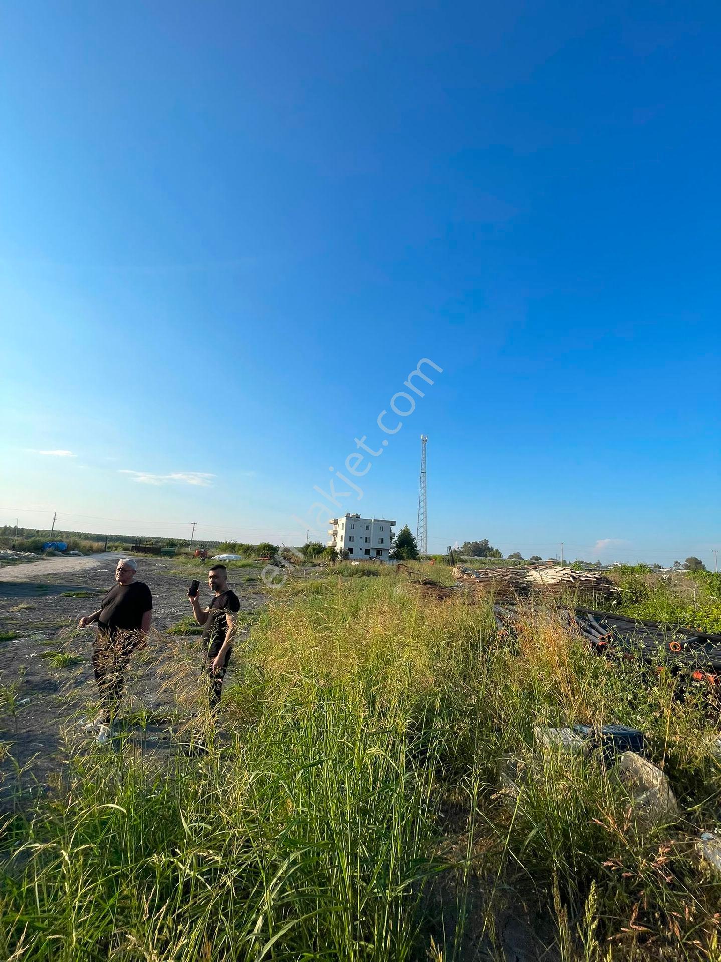 Adanalıoğlu Yolunda Yeşilkuyu Mahallesinde 3800 M2 İçinde İki Katlı Ev Olan Satılık Tarla - Görsel 8