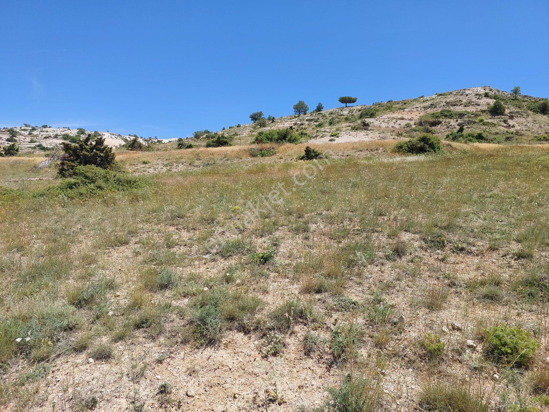 Eskişehir Alpu Söğütçük'te 450 M² Konut İmarlı Satılık Arsa - Görsel 4