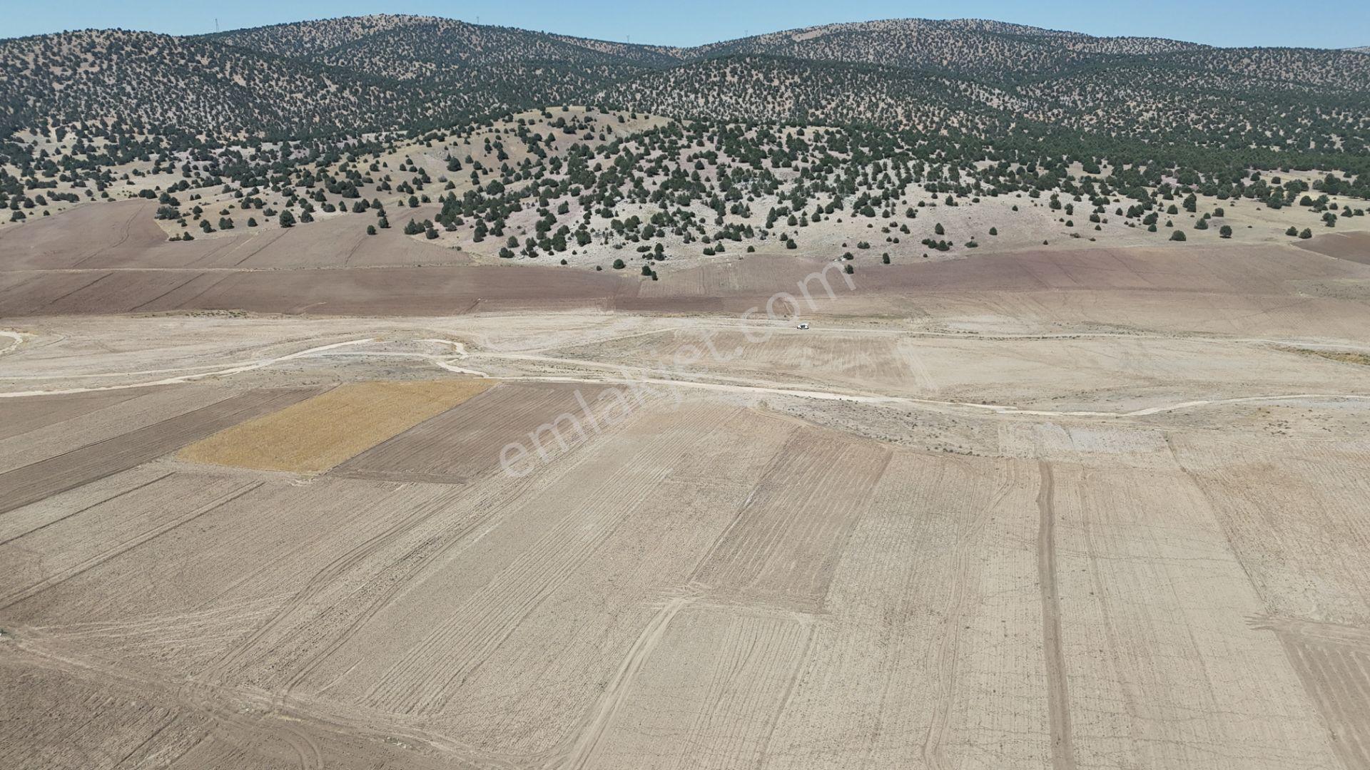Meram Kilistra Mahallesinde 1.321 M² Müstakil Tapulu Tarla - Görsel 10