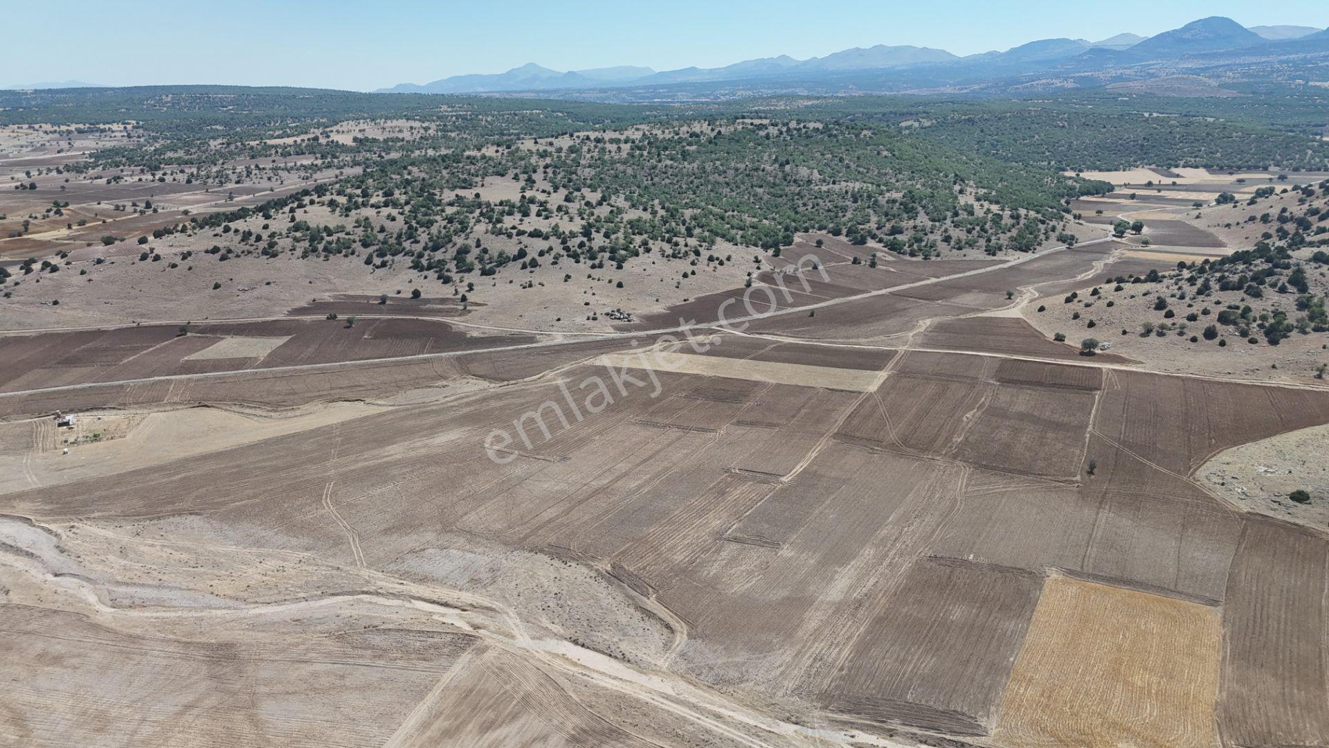 Meram Kilistra Mahallesinde 1.321 M² Müstakil Tapulu Tarla - Görsel 4