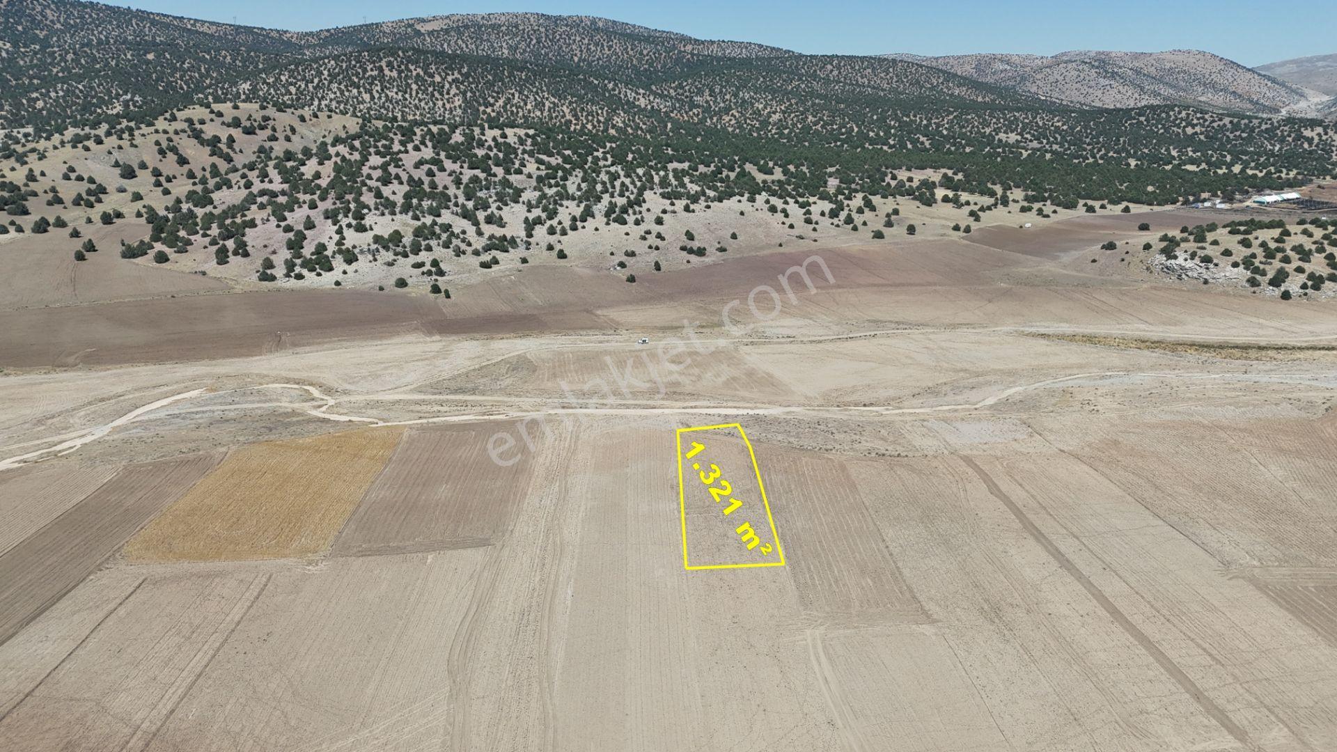 Meram Kilistra Mahallesinde 1.321 M² Müstakil Tapulu Tarla
