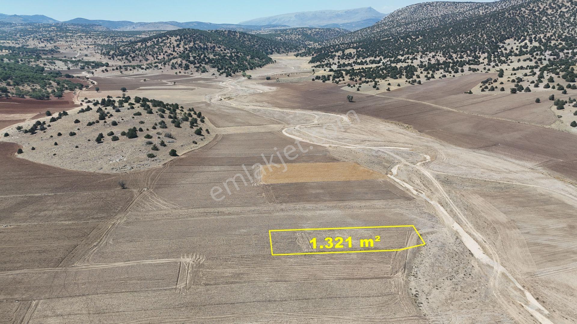 Meram Kilistra Mahallesinde 1.321 M² Müstakil Tapulu Tarla - Görsel 2