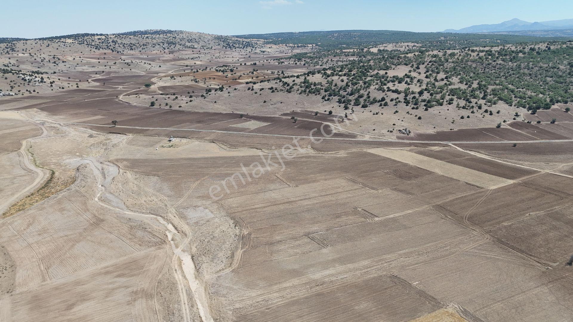 Meram Kilistra Mahallesinde 1.321 M² Müstakil Tapulu Tarla - Görsel 6