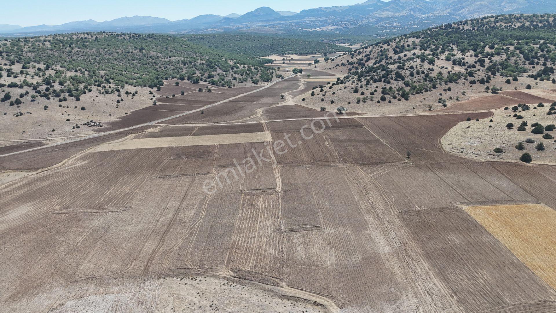 Meram Kilistra Mahallesinde 1.321 M² Müstakil Tapulu Tarla - Görsel 14