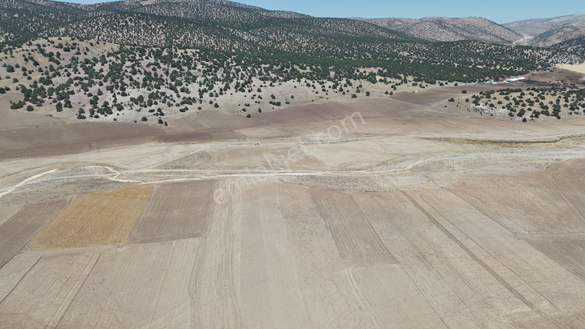Meram Kilistra Mahallesinde 1.321 M² Müstakil Tapulu Tarla - Görsel 9