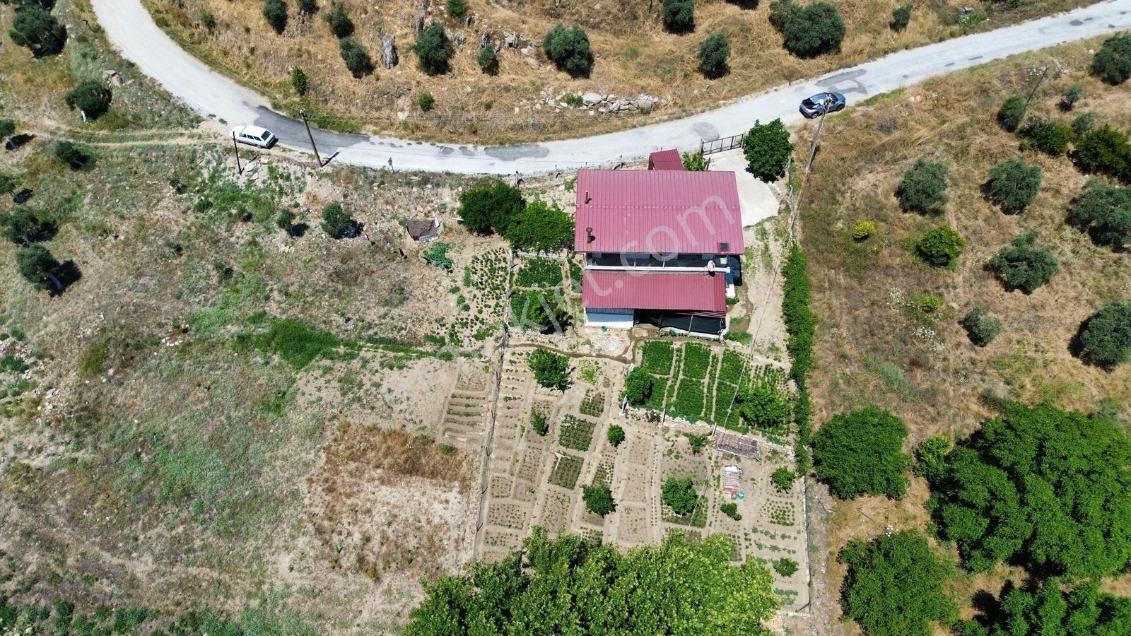 Milas Bulunmaz Fırsat Çiftlik Arazisi - Görsel 2