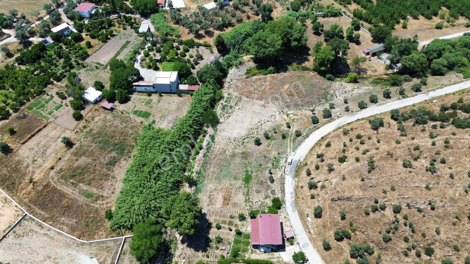 Milas Bulunmaz Fırsat Çiftlik Arazisi - Görsel 10