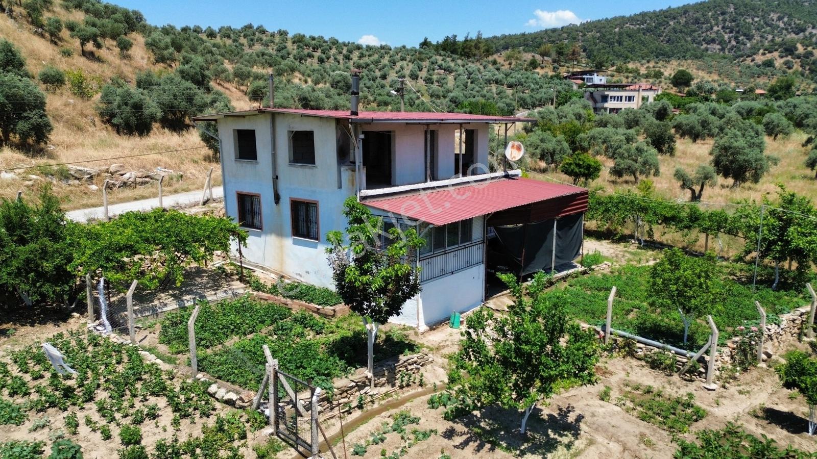 Milas Bulunmaz Fırsat Çiftlik Arazisi - Görsel 17