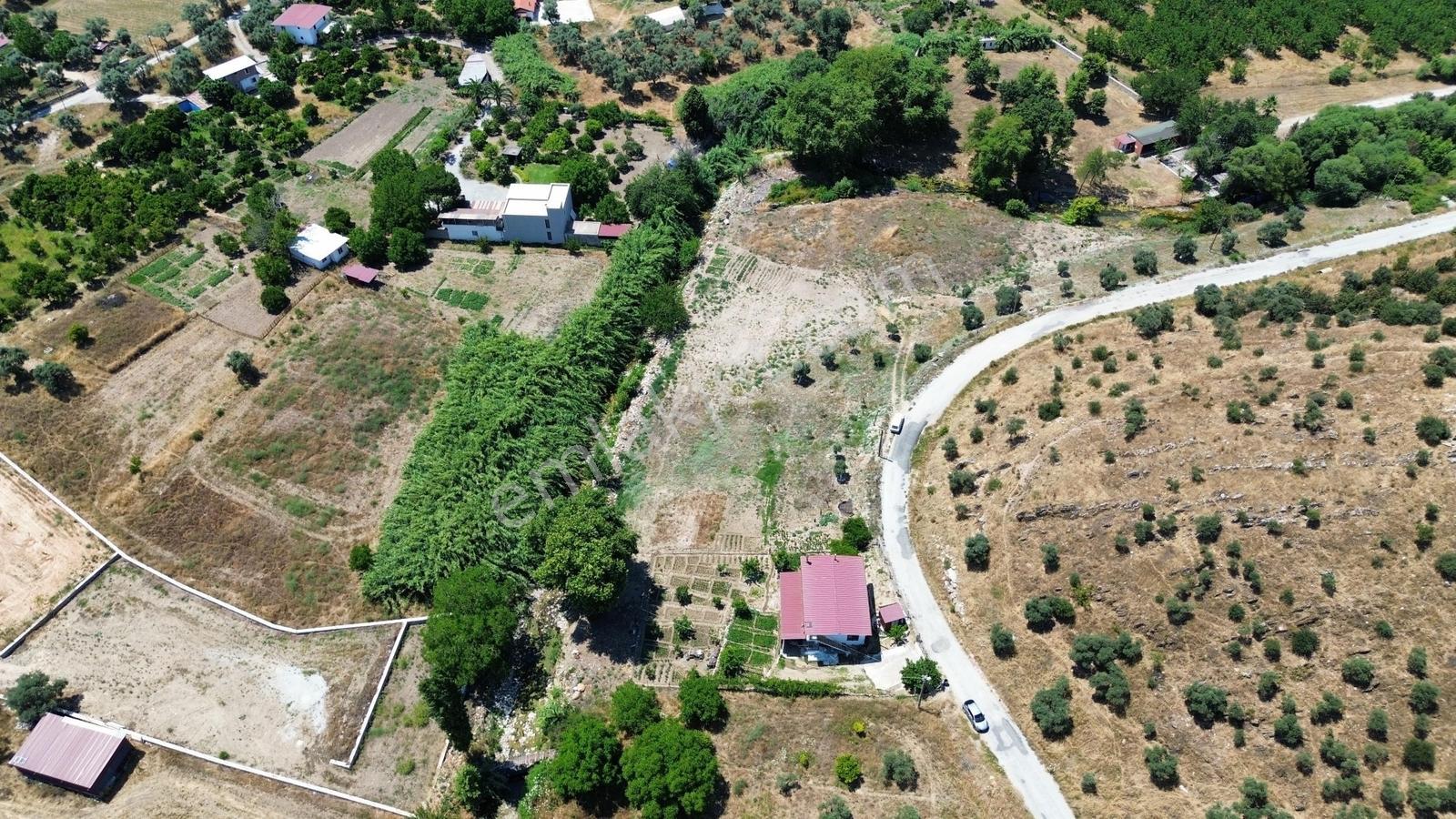Milas Bulunmaz Fırsat Çiftlik Arazisi - Görsel 11