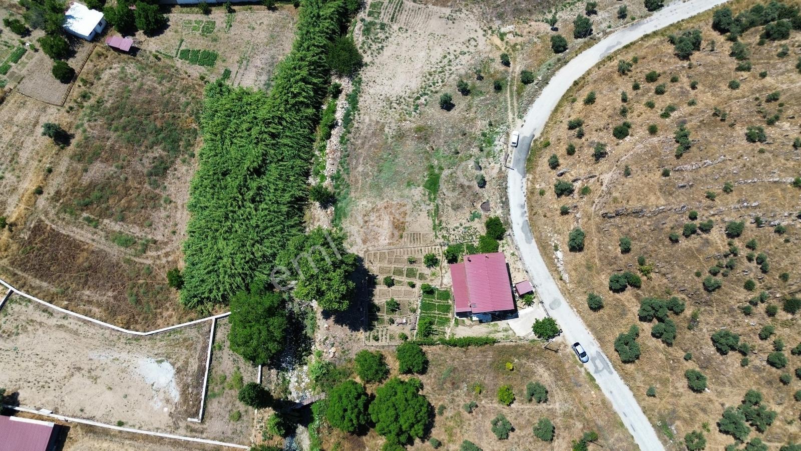 Milas Bulunmaz Fırsat Çiftlik Arazisi - Görsel 24