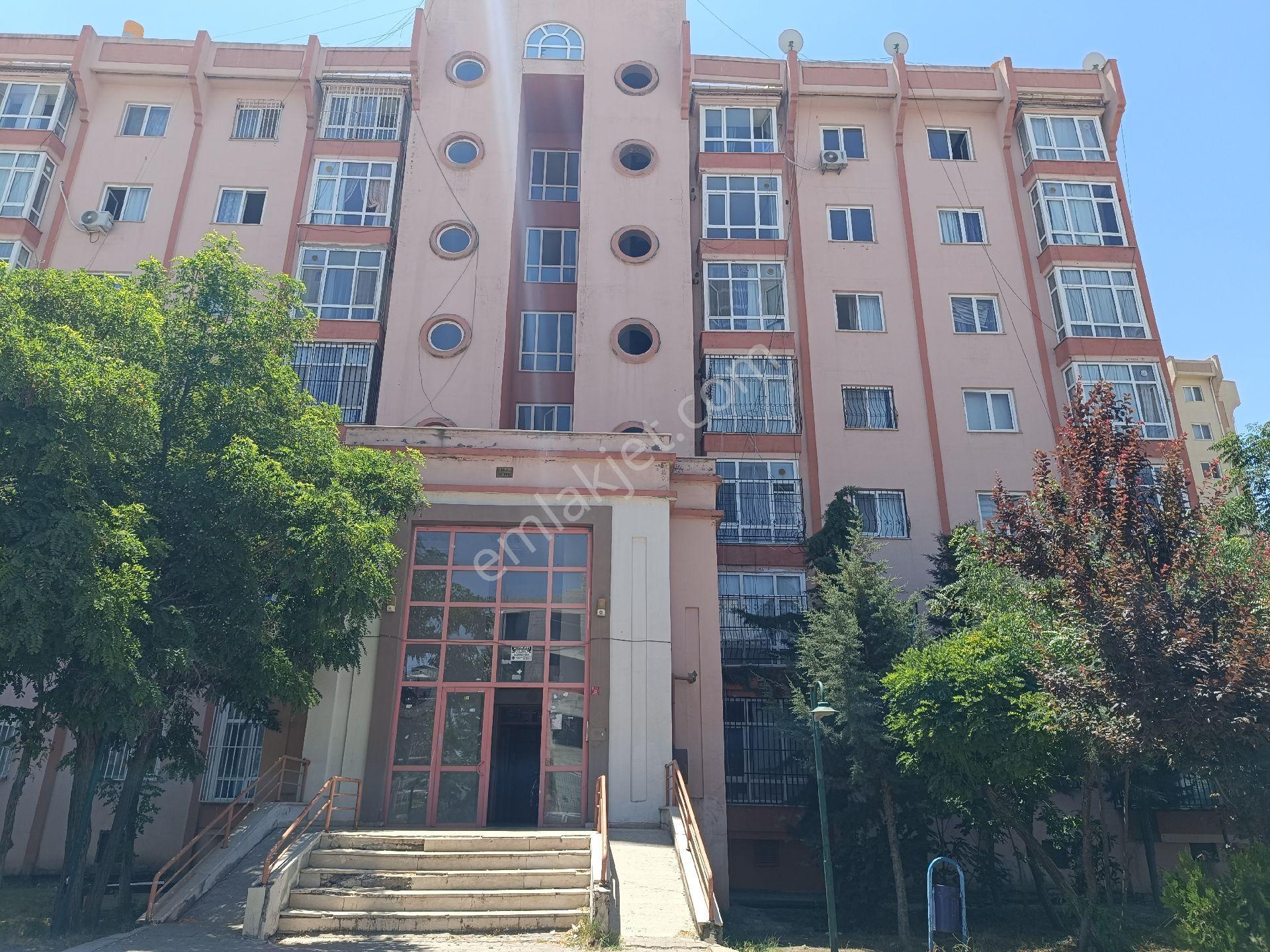 Üçkuyular Tokilerde Kiralik 1+1 Eşyalı Daire