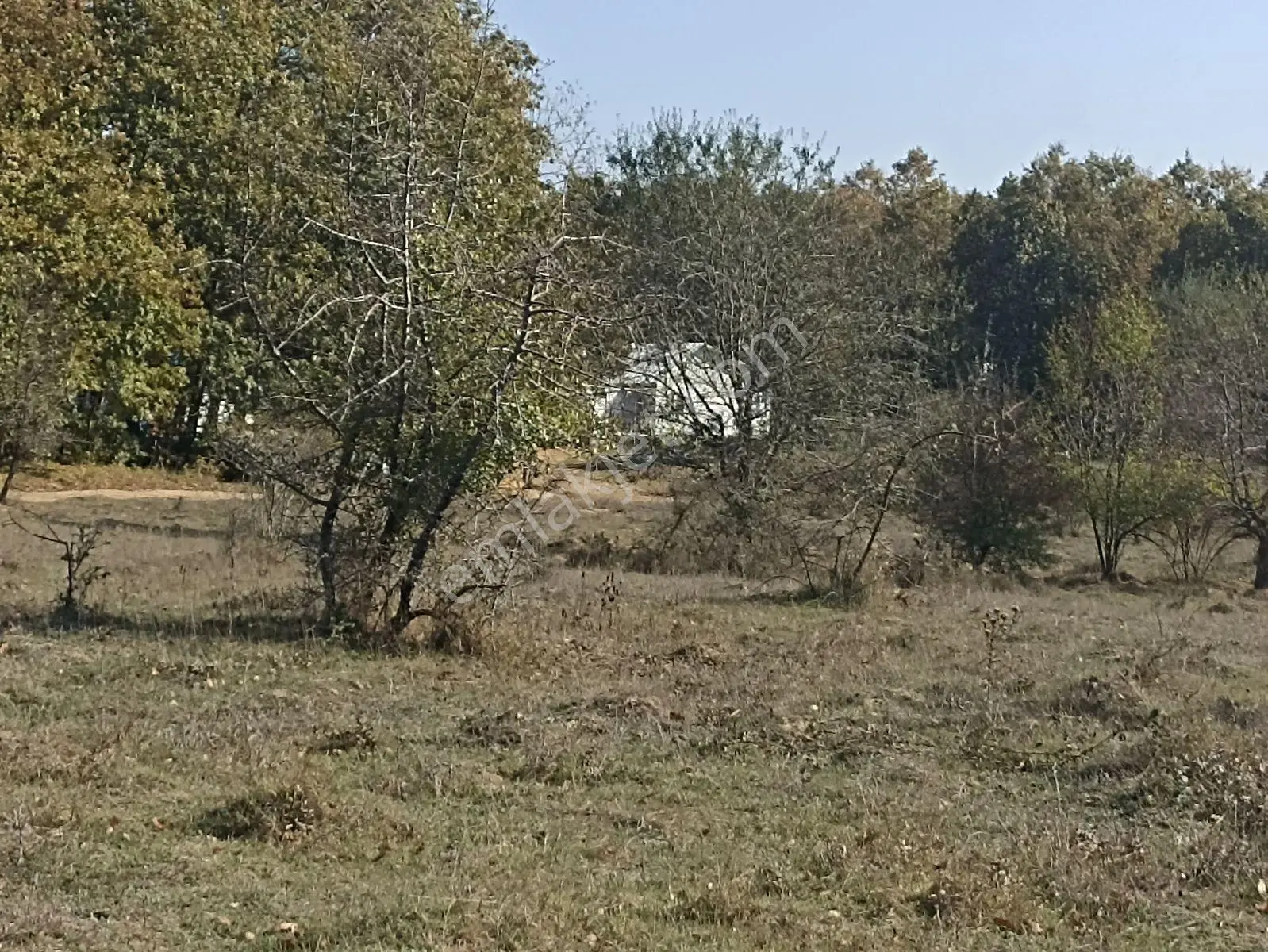 Poyralıda İmarlı Arsalar