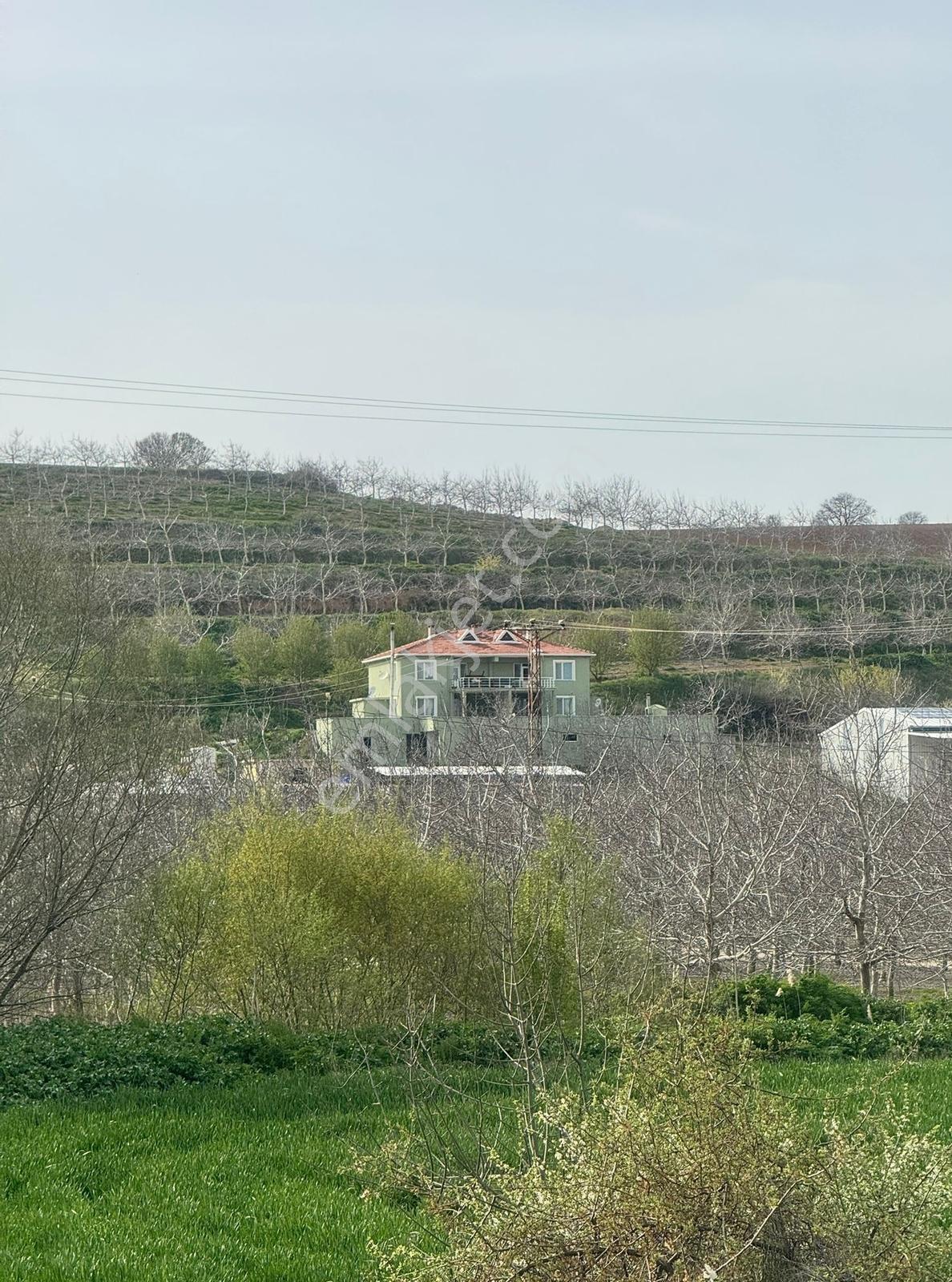 Lüleburgaz Ceylanköy'de Satılık 1542 Metrekare İster Tek Tapu İster Hisse Tarla - Görsel 3