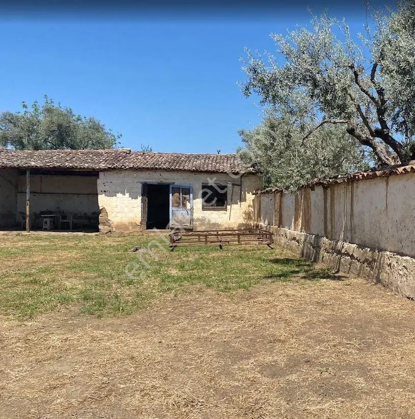 Çerkez Evi Taş Evi Olan Arazi - Görsel 3