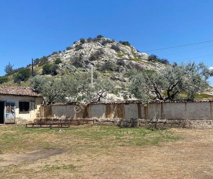 Çerkez Evi Taş Evi Olan Arazi - Görsel 2