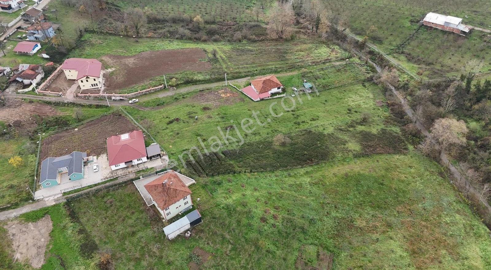 Meriç Çayrak'tan Lütfiye Köşkte Satılık Arsalar(detay Açıklamda - Görsel 14