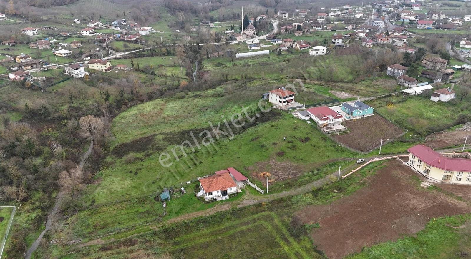 Meriç Çayrak'tan Lütfiye Köşkte Satılık Arsalar(detay Açıklamda - Görsel 15