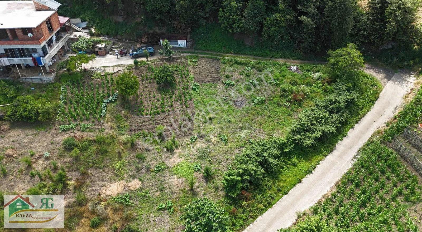 Ravza Yapı Gayrimenkulden Nefsipulathane Mah 684m2 Satılık Arsa - Görsel 6