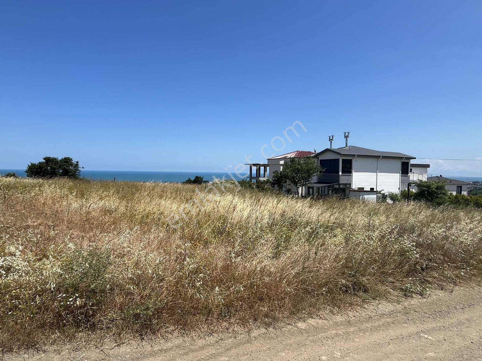 Taflan Da Deniz Manzaralı Satılık Köşe Arsa - Görsel 16