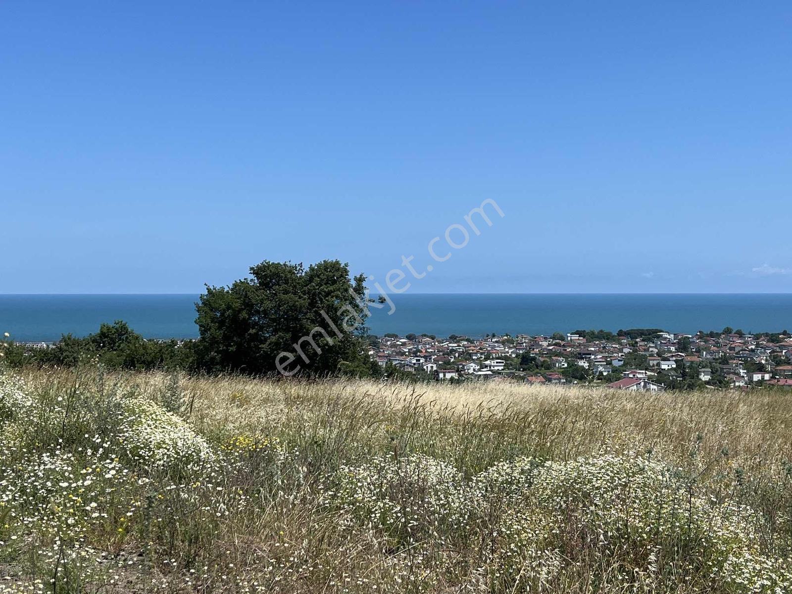 Taflan Da Deniz Manzaralı Satılık Köşe Arsa - Görsel 11