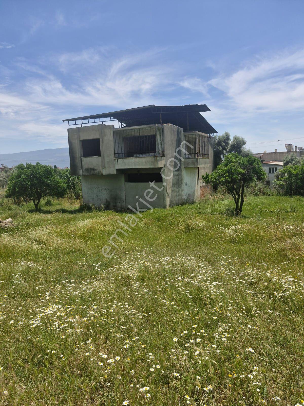 Pınarbaşı Mahallesinde Satılık İmarlı Zeytinlik