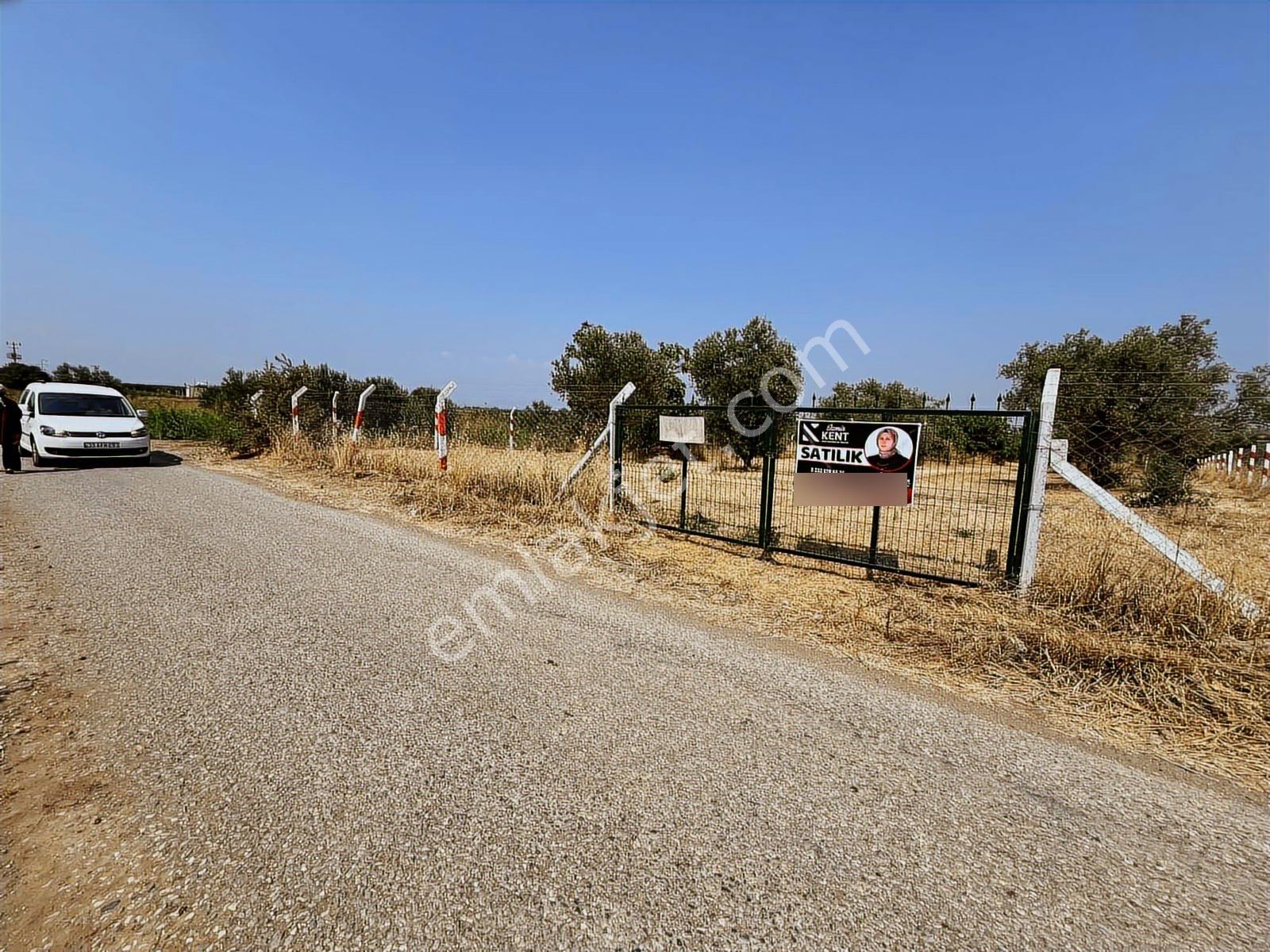Kemalpaşa Bağyurdu Satılık 5650 M2 Bahçe - Görsel 11