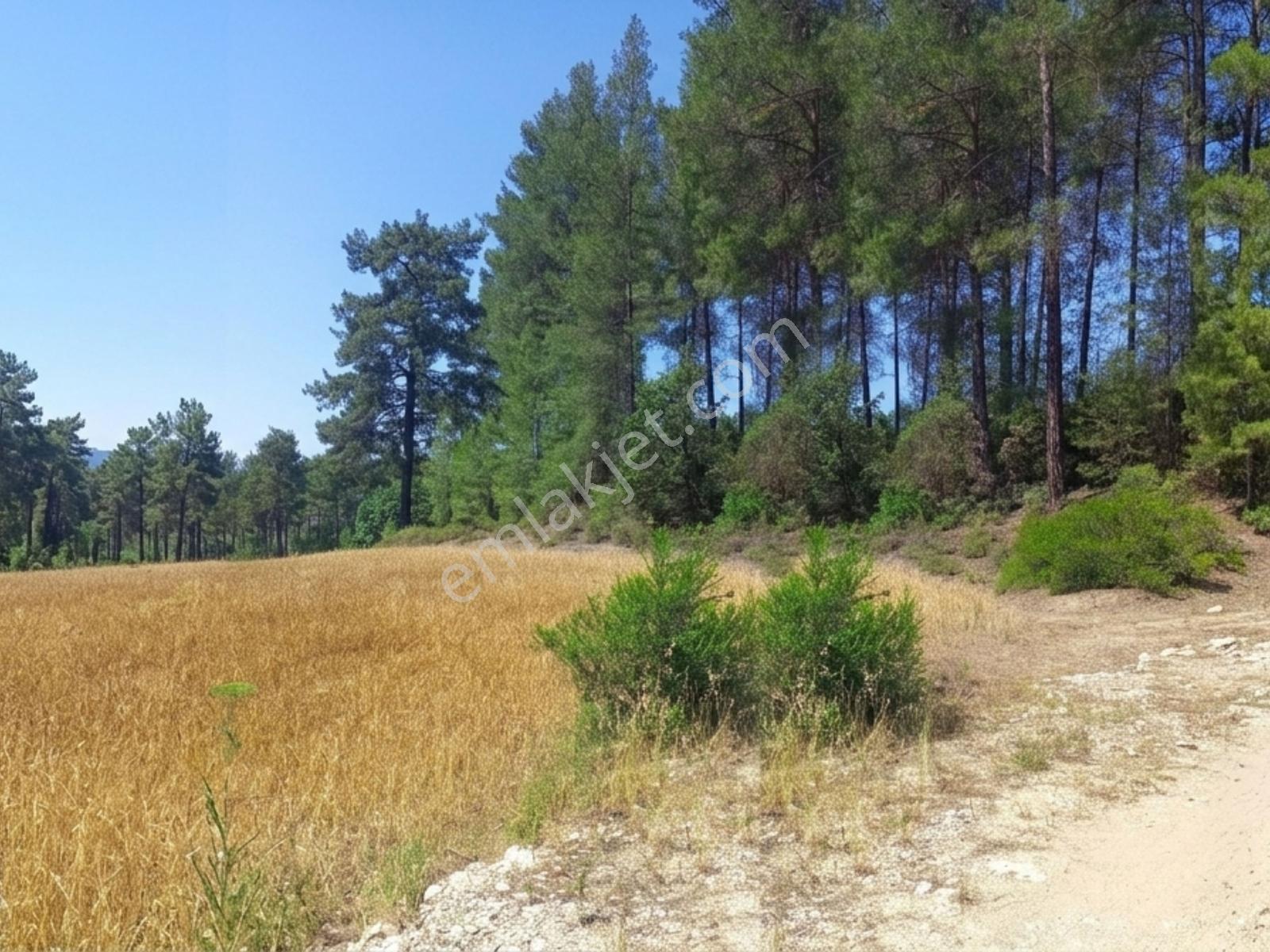 Bucak Çamlık'ta 7.693 M² Müstakil Tapulu Yatırımlık Tarla - Görsel 6