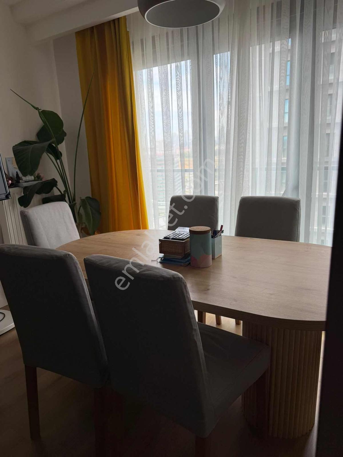 Avangart İstanbul Yüksek Kat Kiralık Güncel Daire - Aylık Ödeme - Görsel 2