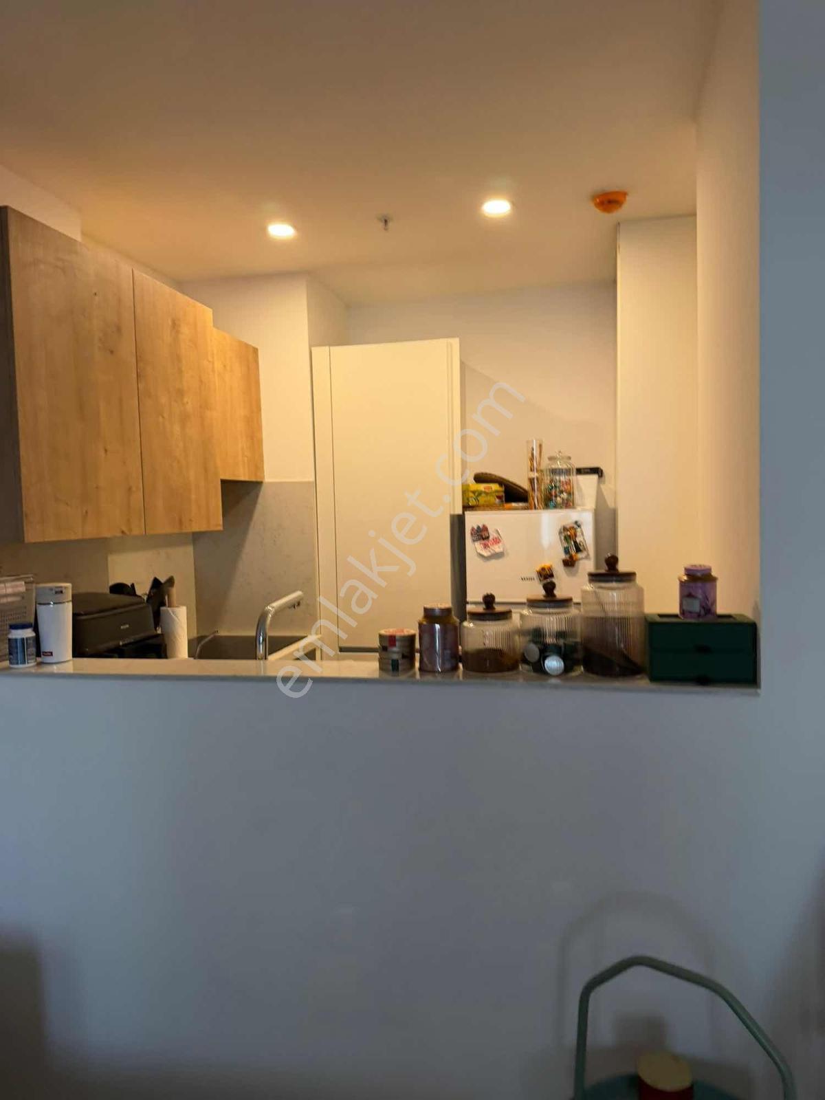 Avangart İstanbul Yüksek Kat Kiralık Güncel Daire - Aylık Ödeme - Görsel 21