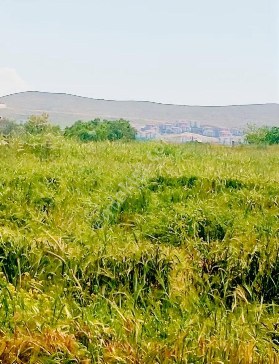 Cip Köyüyatırım Fırsatı Keban Asfalt Yola İki Parsel - Görsel 9