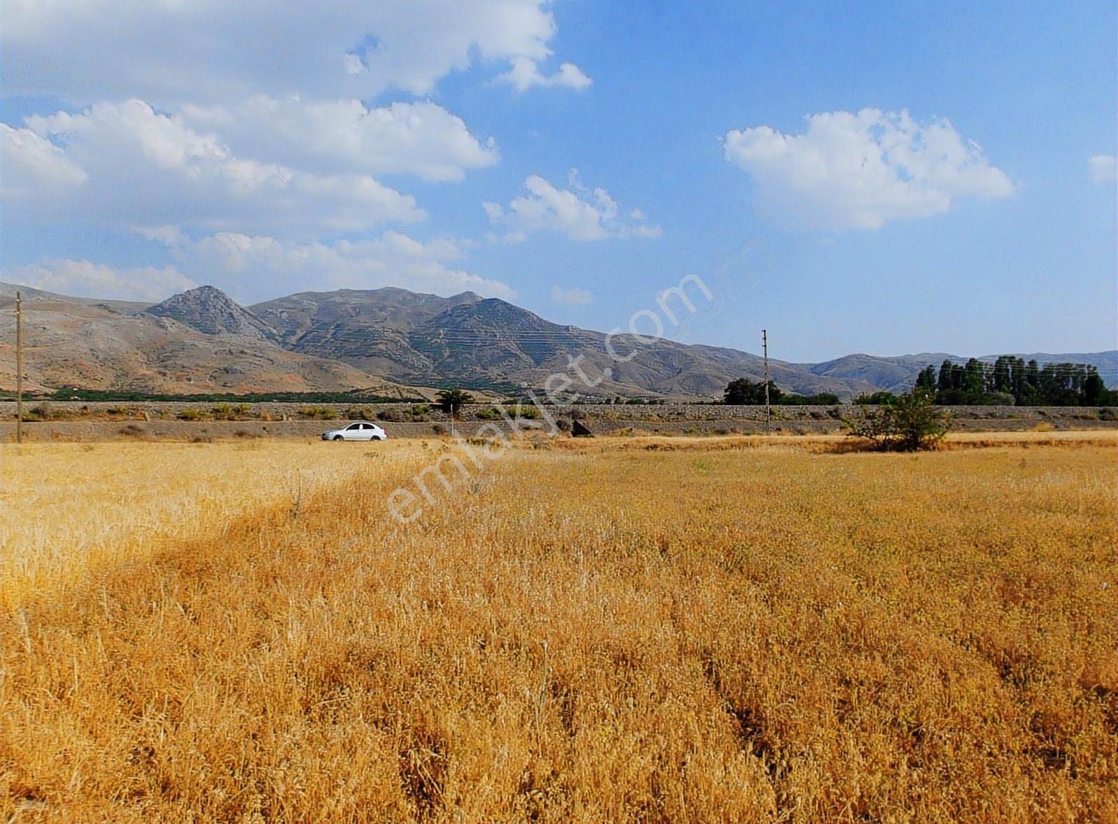Zeteriç Te Satılık Tarla Bahçe Yapımına Uygun - Görsel 16
