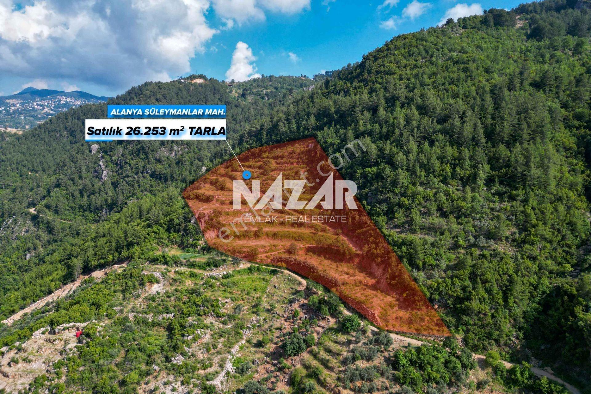 Alanya Süleymanlar’da 26.253 M² Satılık Tarla - Görsel 2