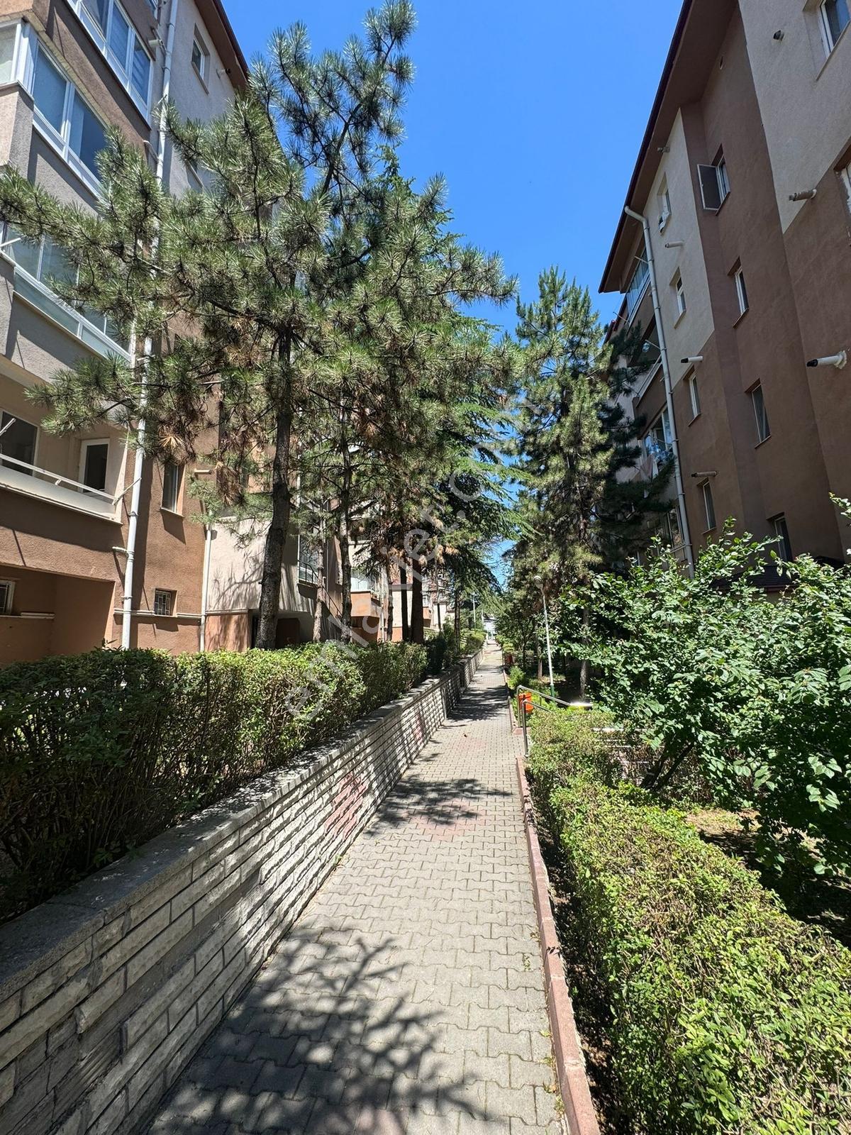 Polat Lıve Emlak'tan Kiralık Merkezi Konumda 3+1 Daire