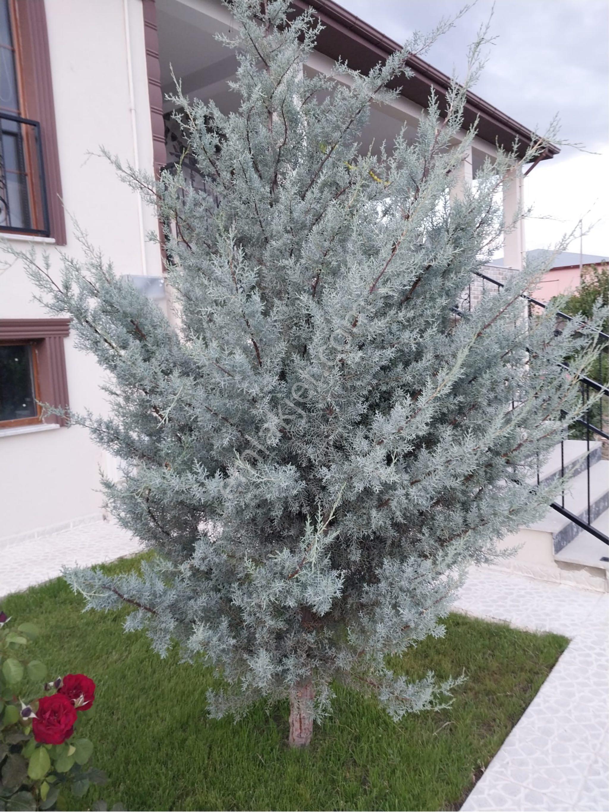Bayırbağ Da Satılık 2 Katlı Villa - Görsel 16