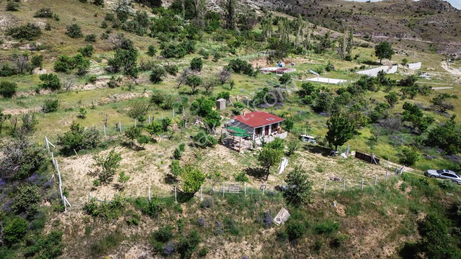 Enes Acur' Dan Sulutas' Da 965 M2 Bağ Evi