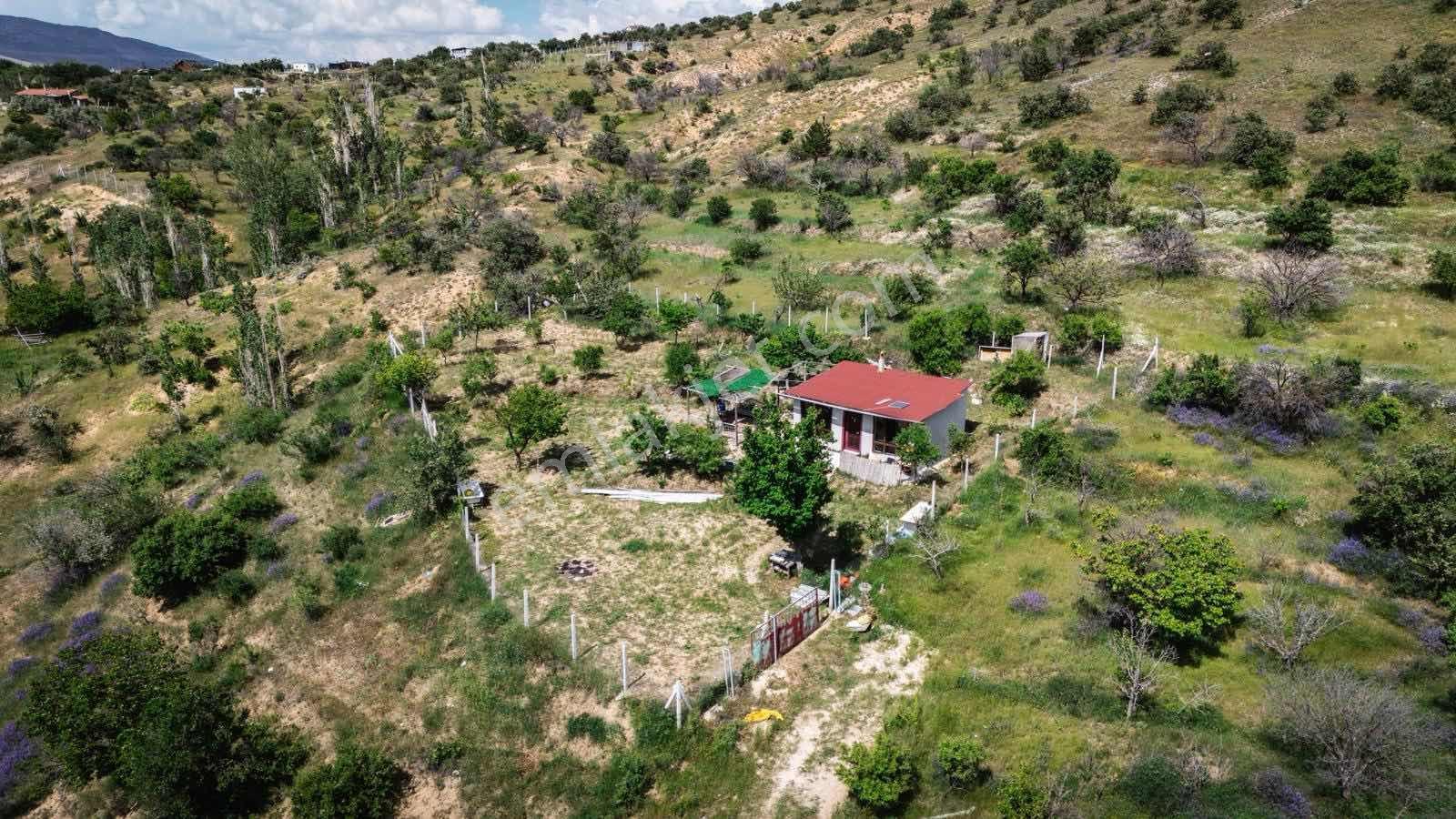 Enes Acur' Dan Sulutas' Da 965 M2 Bağ Evi - Görsel 6