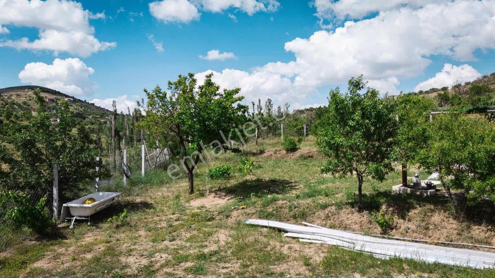 Enes Acur' Dan Sulutas' Da 965 M2 Bağ Evi - Görsel 2