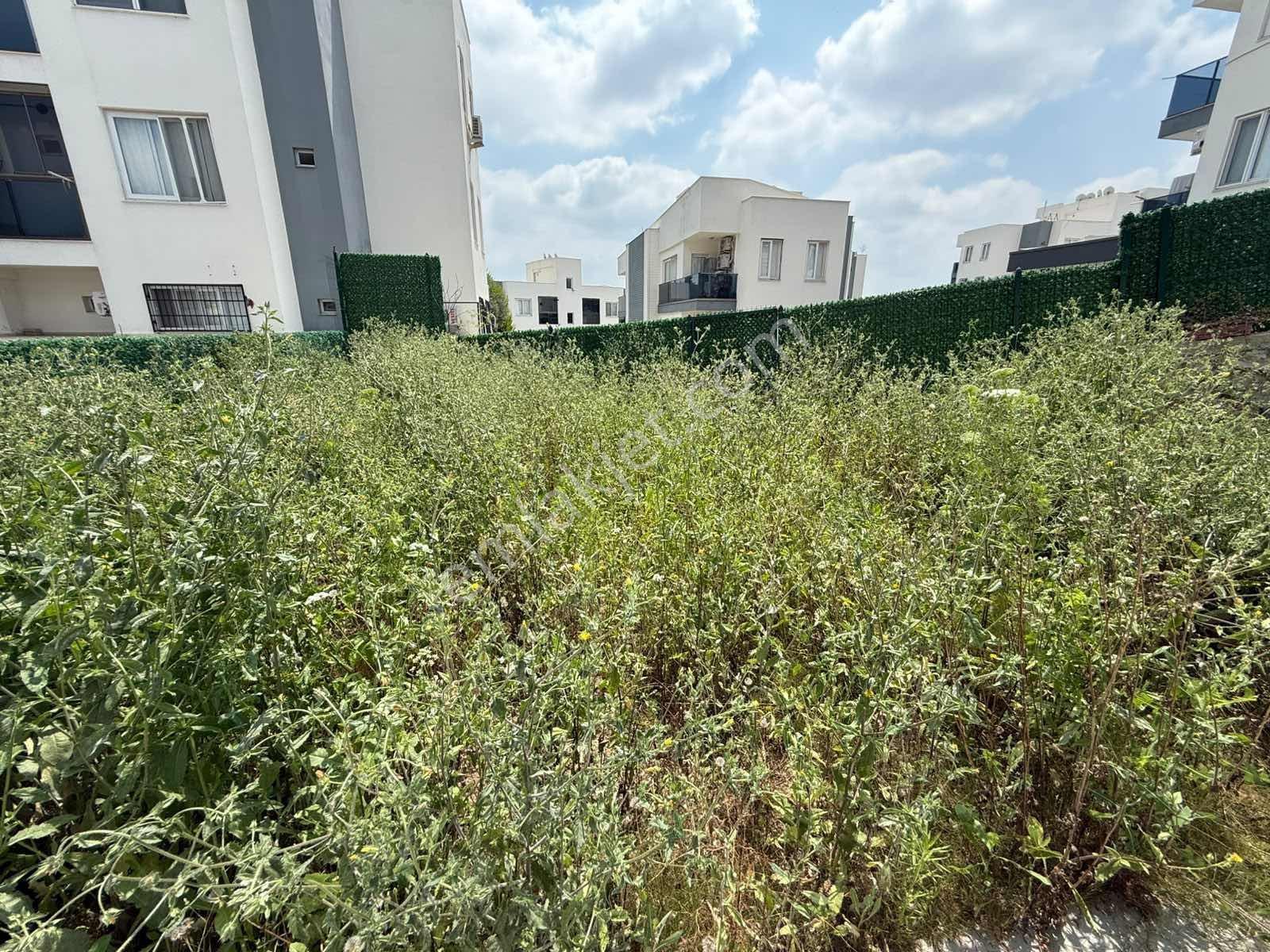 Kabasakal'da/2+1/site İçi/havuz/güvenlik/hobi Bahçeli/ç.banyolu! - Görsel 25