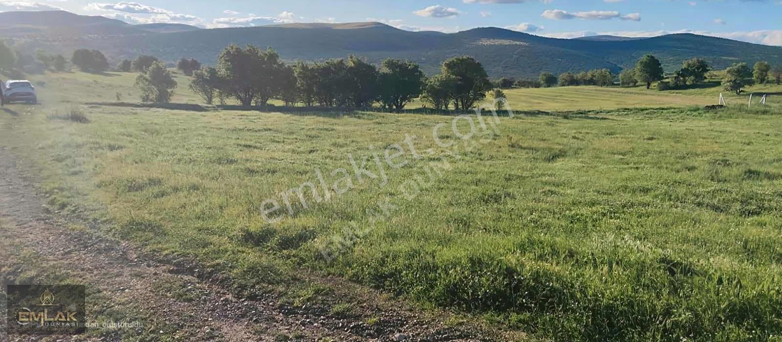 Ayaşta Tek Tapu 2.218 M2 Muhteşem Konumda Tarla - Görsel 9