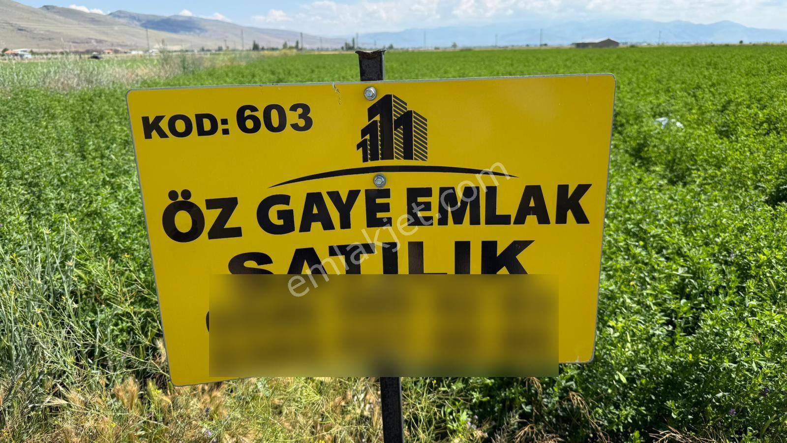 Öz Gaye Emlaktan Develi Sindelhöyük Mahallesinde Satılık Tarla - Görsel 7