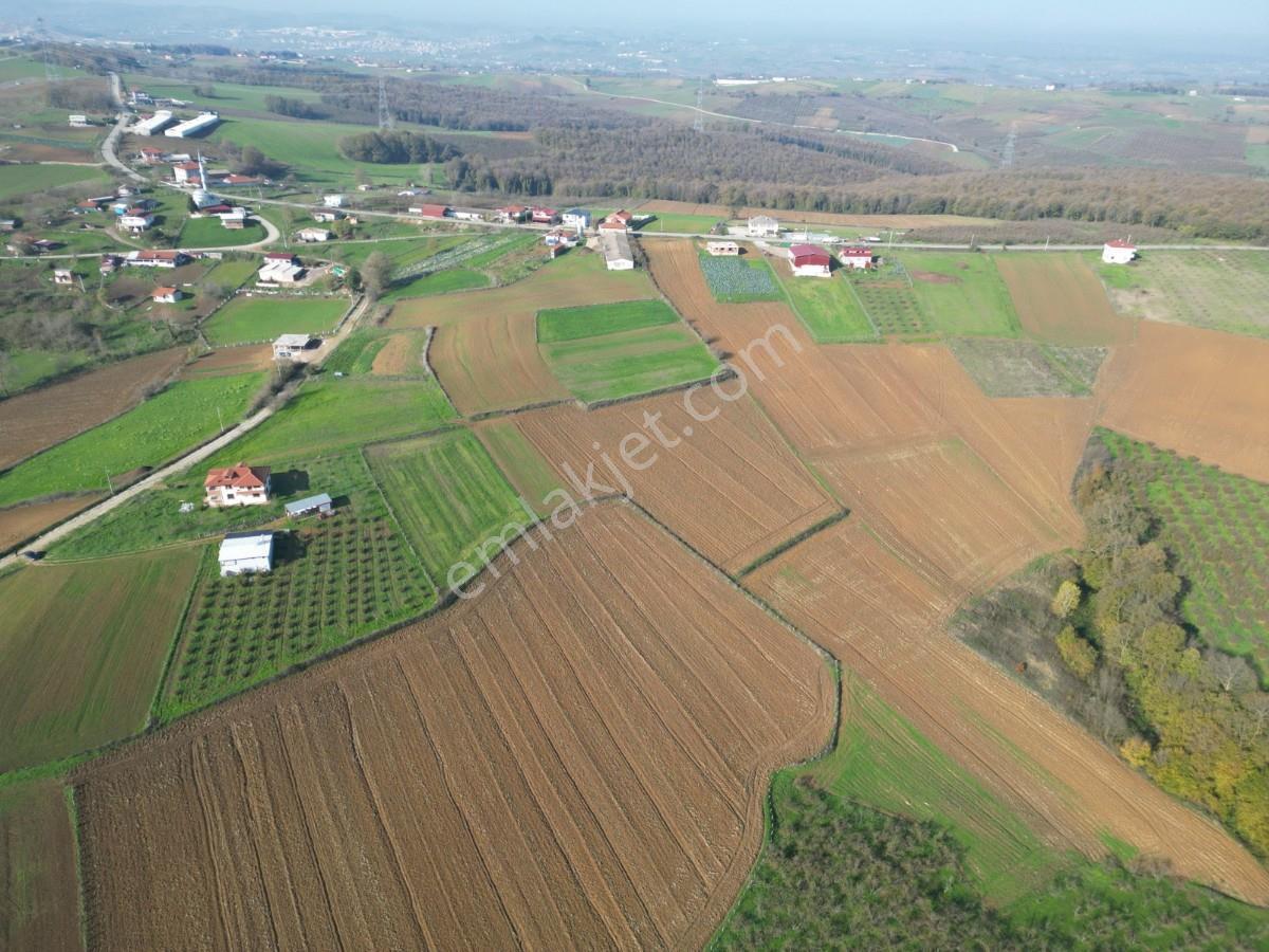 Osb Etkisiyle Değerlenen Kaynarca Sarıbeyli 2.312 M² Tarla - Görsel 12