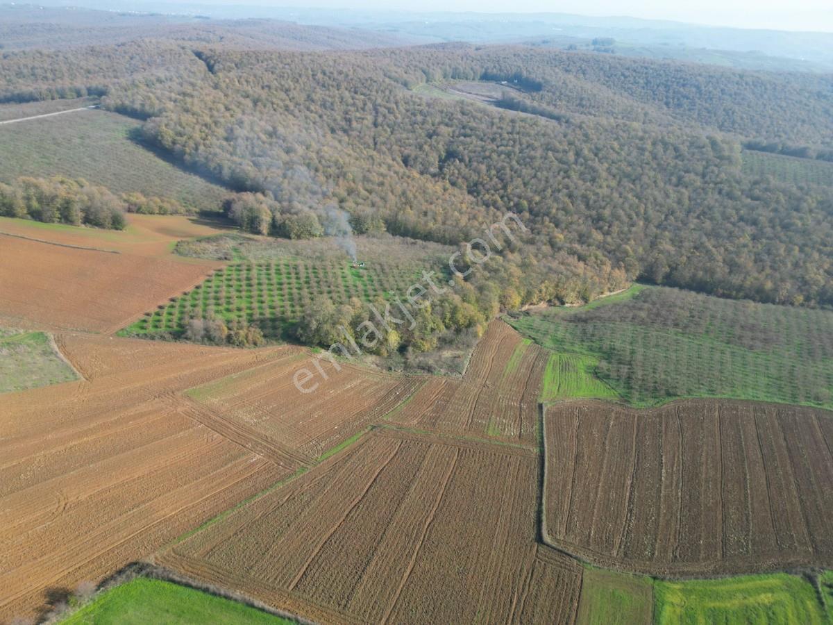 Osb Etkisiyle Değerlenen Kaynarca Sarıbeyli 2.312 M² Tarla - Görsel 17