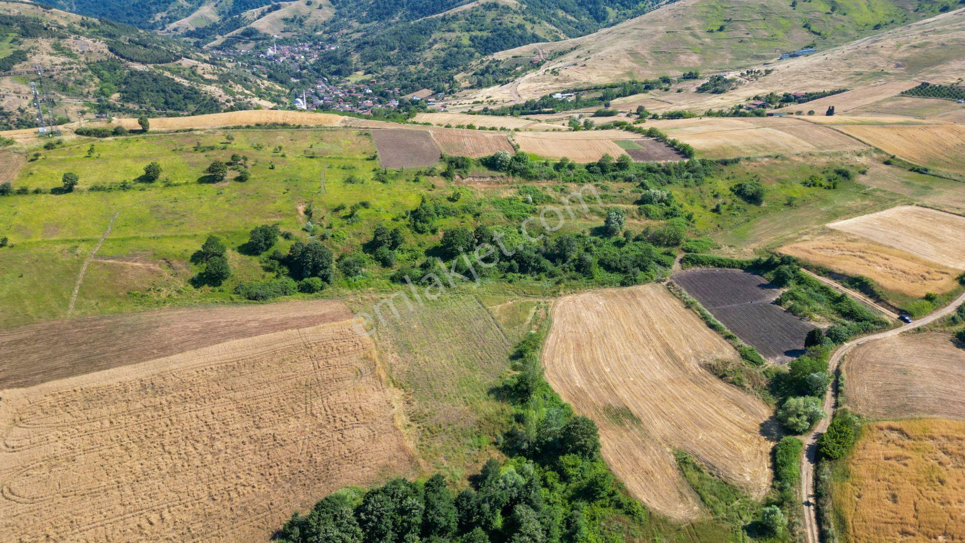 Kocaeli Karamürsel Kızderbent 5080 M2 %5 İmarlı Satılık Tarla - Görsel 7