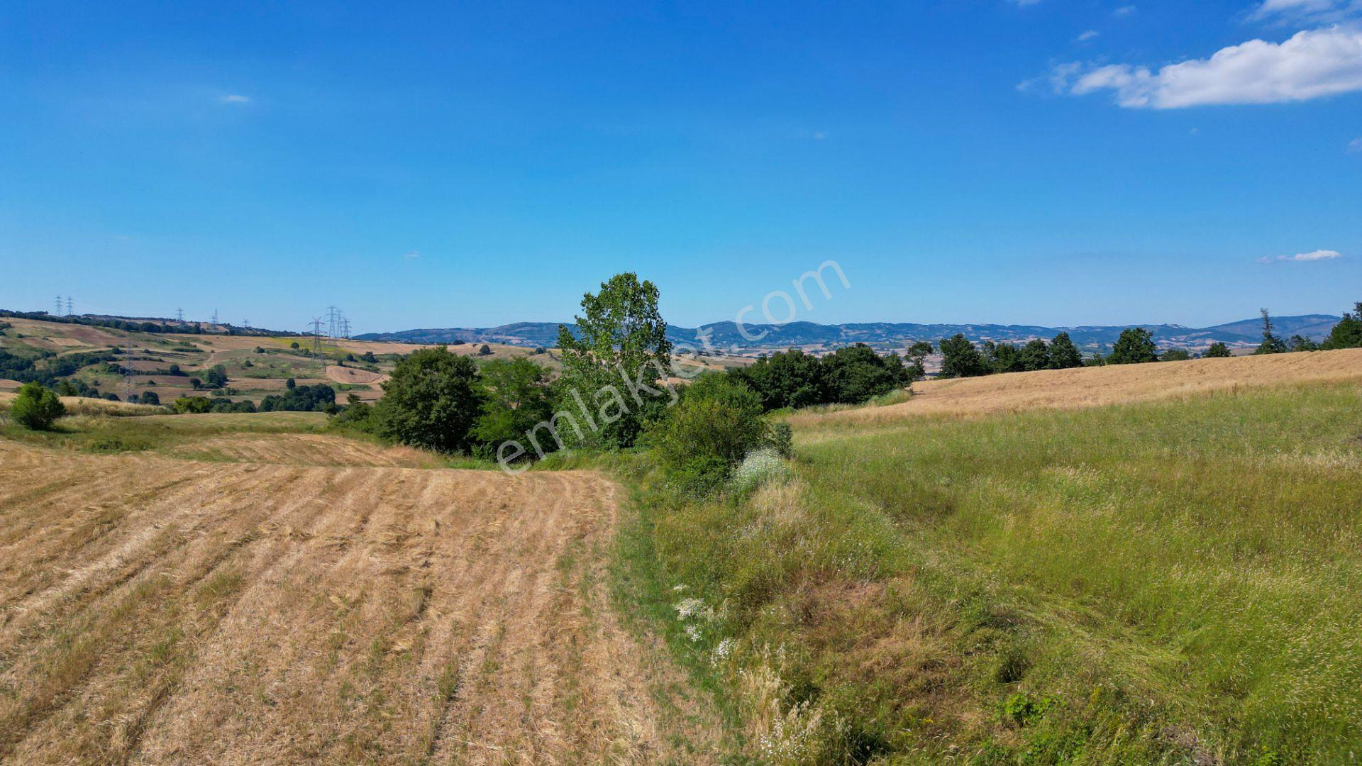 Kocaeli Karamürsel Kızderbent 5080 M2 %5 İmarlı Satılık Tarla - Görsel 18
