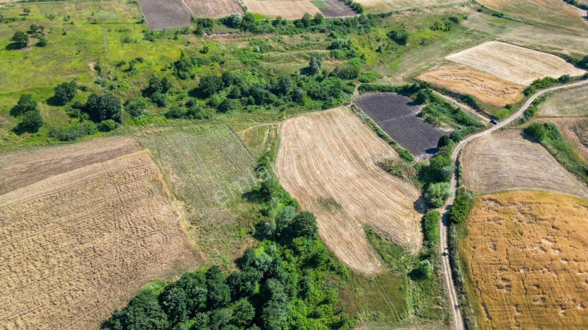 Kocaeli Karamürsel Kızderbent 5080 M2 %5 İmarlı Satılık Tarla - Görsel 6