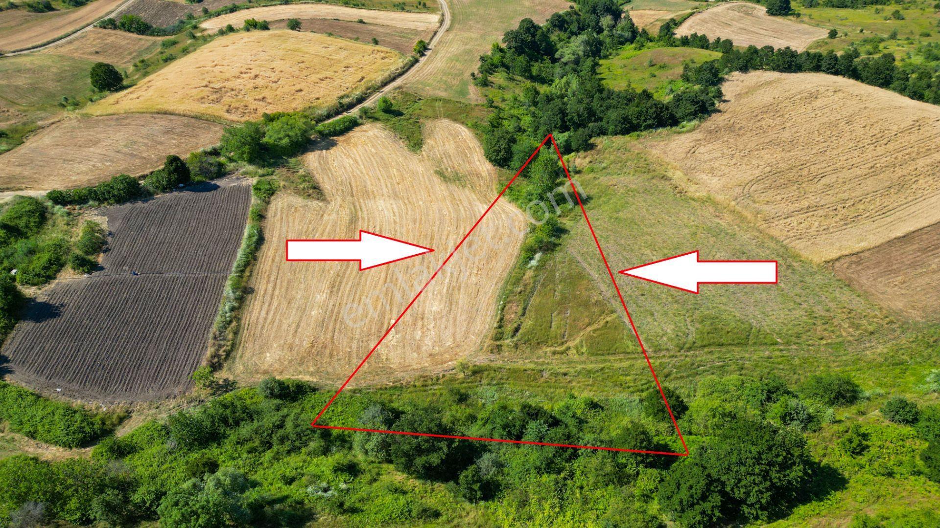Kocaeli Karamürsel Kızderbent 5080 M2 %5 İmarlı Satılık Tarla