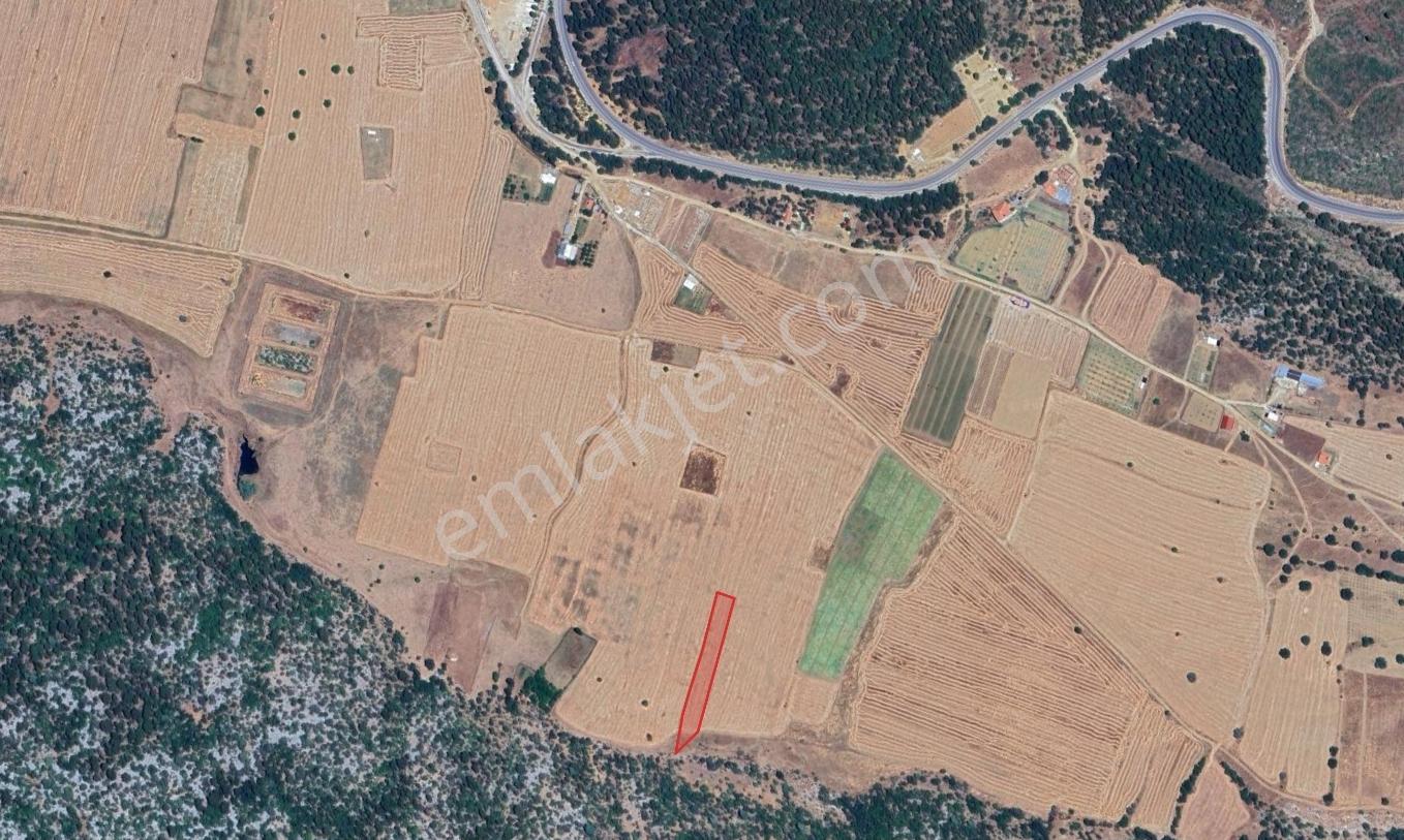 Akseki Cevizlide Ormana Cephe Yatırımlık 2956 M2 Satılık Tarla - Görsel 2