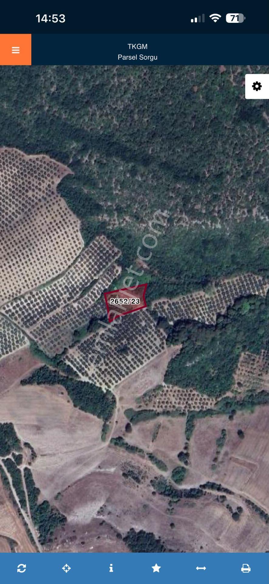Bursa Mudanya Mesudiye Fırsat Tarla 2000m2 - Görsel 2